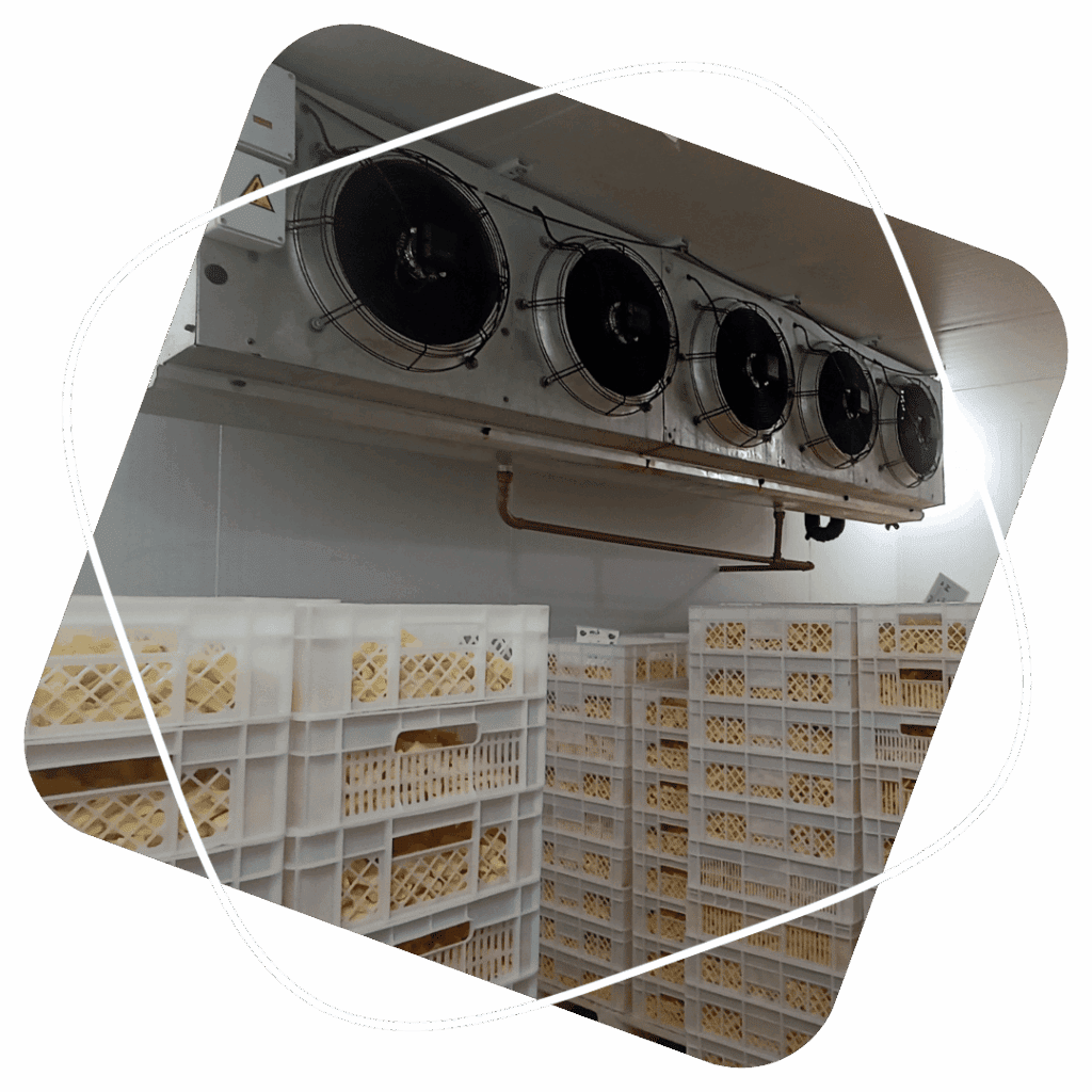 Túnel de congelamento estático